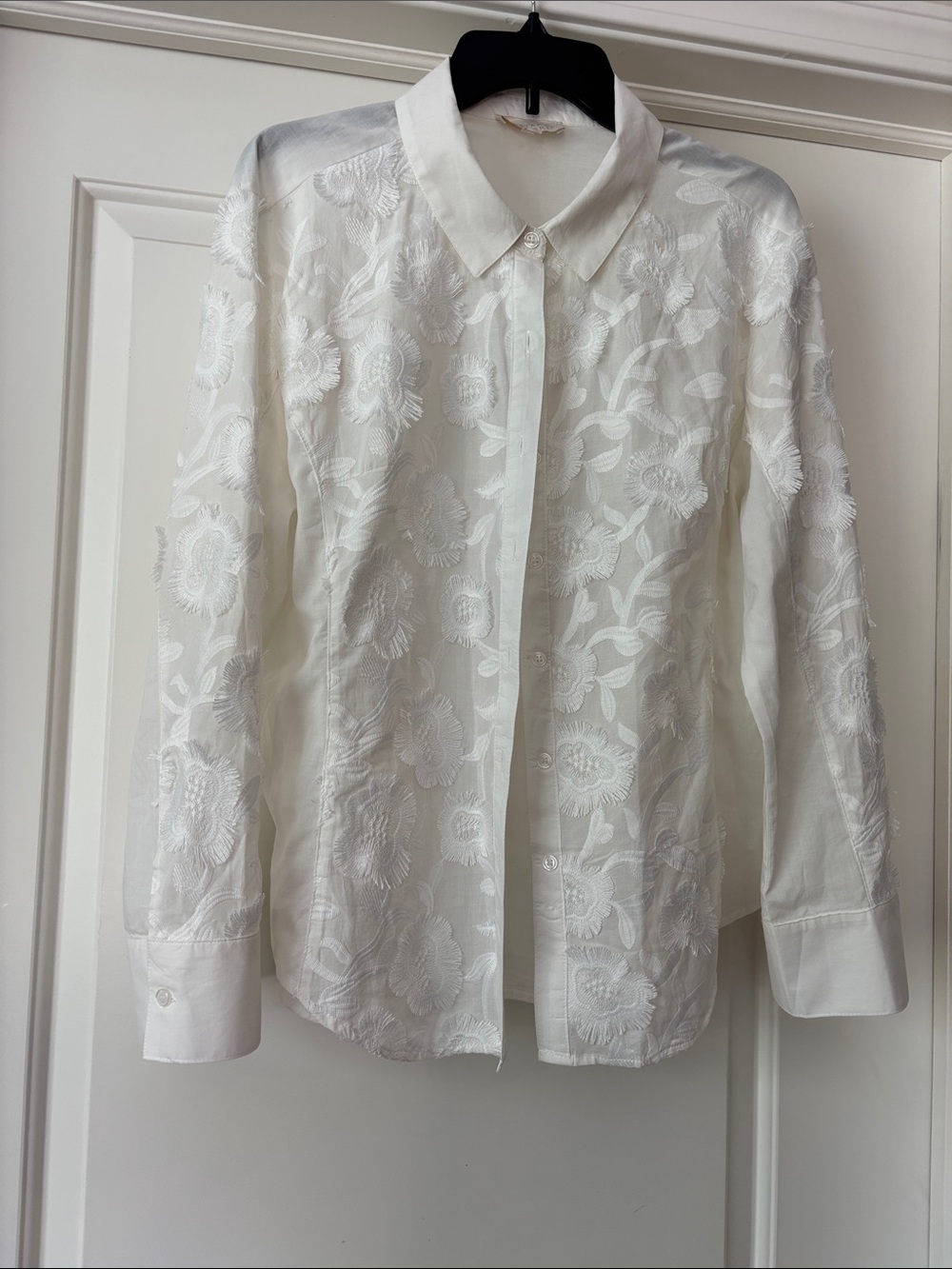Sheer White Embroidered Button-Up Blouse